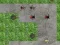 שפּיל Spider Tower Defens אָנליין