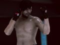 שפּיל MFS: MMA קעמפער אָנליין