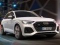 שפּיל Audi SQ5 TDI סלייד אָנליין