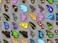שפּיל בutterfly קיודאי אָנליין שפּיל בutterfly קיודאי אָנליין