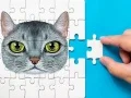 שפּיל אאַביסיניש פאזל טשאַלאַנג אָנליין שפּיל אאַביסיניש פאזל טשאַלאַנג אָנליין