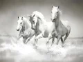 שפּיל פּאַזל פון פּעראַדע אָנליין שפּיל פּאַזל פון פּעראַדע אָנליין