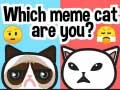 שפּיל וועלכער מעם קאַץ ביסט אַ מוזיק? אָנליין שפּיל וועלכער מעם קאַץ ביסט אַ מוזיק? אָנליין