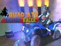 שפּיל קוואַד ATV טრაფיק ראַסער אָנליין
