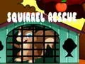 שפּיל סquirrel רעשן אָנליין