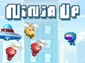 שפּיל נינזשאַ אַרויף אָנליין