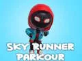 שפּיל Sky Runners Parkour אָנליין