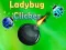 שפּיל Ladybug קליקער אָנליין