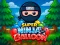 שפּיל Super Ninja Balloon אָנליין
