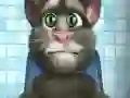 שפּיל רעדנדיק טאם: פֿאַרשיקער אָנליין שפּיל רעדנדיק טאם: פֿאַרשיקער אָנליין