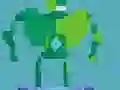 שפּיל תוֹ'טלעך ראַסע רויד אָנליין