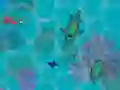 שפּיל שאַרקז.יאָ אָנליין