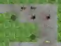שפּיל Spider Tower Defens אָנליין שפּיל Spider Tower Defens אָנליין