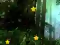 שפּיל געלערנע שטערן אָנליין