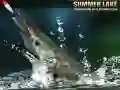 שפּיל Summer Lake אָנליין