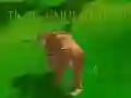 שפּיל טייגער סימיאַלייטאָר 3D אָנליין