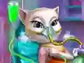 שפּיל קאַץ באפֿעל: אַקציע ER אָנליין שפּיל קאַץ באפֿעל: אַקציע ER אָנליין