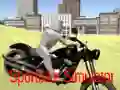 שפּיל ספּאָרט בייק סימולאַטאָר אָנליין