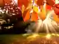 שפּיל פּאַזל: הסתיו אָנליין שפּיל פּאַזל: הסתיו אָנליין