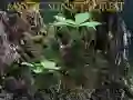 שפּיל מיסטעריעז זונשייַן פֿאָרשט אָנליין