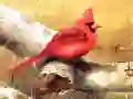 שפּיל ארט בirds פּאַזל אָנליין שפּיל ארט בirds פּאַזל אָנליין