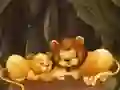 שפּיל פריילעכע זואילאויסן פּאַזל אָנליין שפּיל פריילעכע זואילאויסן פּאַזל אָנליין