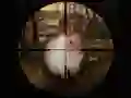 שפּיל קלאַסיש פֿאַרישות אַלייען גאַמער 2019 אָנליין שפּיל קלאַסיש פֿאַרישות אַלייען גאַמער 2019 אָנליין