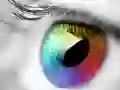 שפּיל פֿאַרב און דיזայնס אָנליין