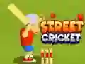 שפּיל שטריט קריקט אָנליין