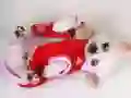 שפּיל לעבעדיקע פּאַפּי סלייד אָנליין שפּיל לעבעדיקע פּאַפּי סלייד אָנליין