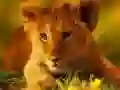 שפּיל וואילד בעיבי אַנימאַלס דזשיגזאַו אָנליין