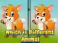 שפּיל וועלכע בעלשאפ איז אנדערש אָנליין