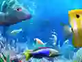 שפּיל לאָמיר פישערייַן אָנליין שפּיל לאָמיר פישערייַן אָנליין