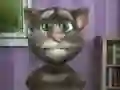 שפּיל רעדעדיק טאם: פֿרײַע צייט אָנליין