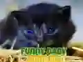 שפּיל פרעמדיקע קינדערדיקע חיות אָנליין שפּיל פרעמדיקע קינדערדיקע חיות אָנליין