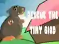 שפּיל ראַט דער קליינער בIRD אָנליין שפּיל ראַט דער קליינער בIRD אָנליין