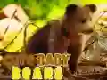 שפּיל שיינער בעיבי בערעס אָנליין שפּיל שיינער בעיבי בערעס אָנליין