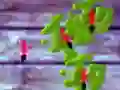 שפּיל דריבן אנטס אָנליין