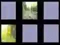 שפּיל נאצור פון נאַטור אָנליין