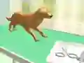 שפּיל פּויישער פאַרזיכערונג אָנליין