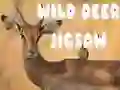שפּיל וועדיקע דייַק יאָגז אָנליין