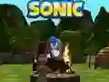 שפּיל סאָניק ספּעציעלער העט ראַן 3D אָנליין שפּיל סאָניק ספּעציעלער העט ראַן 3D אָנליין