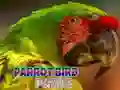 שפּיל פֿאַלן פון פּאַראַט אָנליין שפּיל פֿאַלן פון פּאַראַט אָנליין