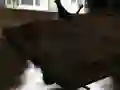 שפּיל דריפט Z אָנליין שפּיל דריפט Z אָנליין
