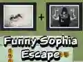 שפּיל פנייה פֿunny סאָפֿיאַ אָנליין שפּיל פנייה פֿunny סאָפֿיאַ אָנליין
