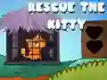 שפּיל ראַטעווען דעם קאַץ אָנליין