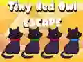 שפּיל קליינע רויטע אויַל אין אױסגאנג אָנליין שפּיל קליינע רויטע אויַל אין אױסגאנג אָנליין