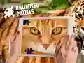 שפּיל אינפיניט פּאַזלס אָנליין