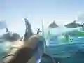 שפּיל שאַרק שיף אָנליין שפּיל שאַרק שיף אָנליין