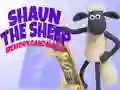 שפּיל שאָן די שיף: געדענק קארטל שפּיל אָנליין
